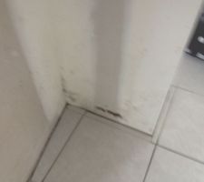 Moisissure dans le séjour au niveau du mur porteur
