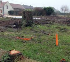 Implantation de la maison, ca fait beaucoup plus grand que sur le papier