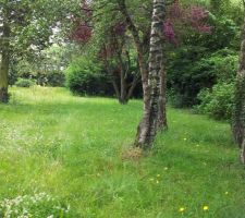 Enfin on acc&egrave;de au terrain..