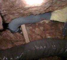 Gaines non isol&eacute;e