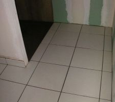 15 fevr : fin carrelage rdc et pose des plinthes (sdb)