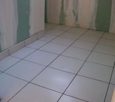 15 fevr : fin carrelage rdc et pose des plinthes (sdb)