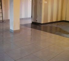 15 fevr : fin carrelage rdc et pose des plinthes (séjour-cuisine)