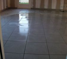 15 fevr : fin carrelage rdc et pose des plinthes (séjour-salon)