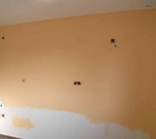 Mise en peinture de 2 murs de la cuisine