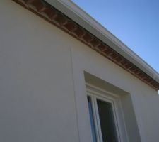 Gouttière et descente blanche sur du G20 parexlanko.