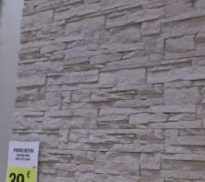 Idée parement salon