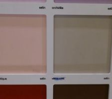 La puce a choisi les couleurs de sa chambre