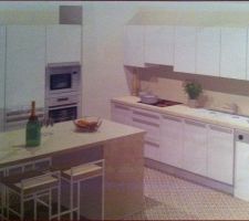 Projet cuisine, je dois encore voir un autre cuisiniste, celle ci est en polymère et celle que je vais aller voir sera en acrylique.