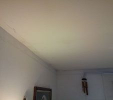 Plafond SAM