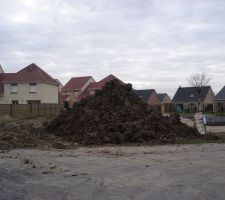 Le reste des 300 Tonnes de terres ...