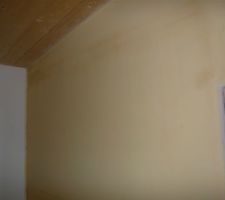 La peinture sèche une base blanche Volvox avec des pigments pour la couleur)