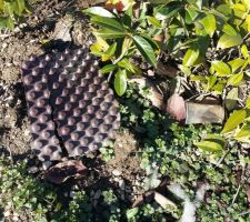 Déchets sur notre terrain du chantier voisin - blandino mazzilli