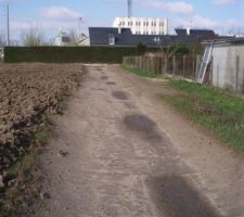 La noue depuis notre fond de jardin avec une buse au fond ! (ouf on a eu chaud)