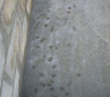 Intrusion sur le chantier....