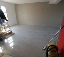 Des oinjs, encore des oinjs ... Quelle monotonie !