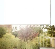 Terrain a l'achat cote nord