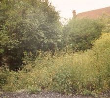 Terrain cot&eacute; nord