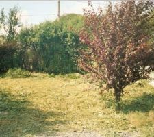Terrain nord apres d&eacute;broussaillage