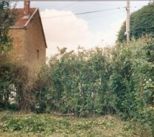 On y voit plus clair comme meme