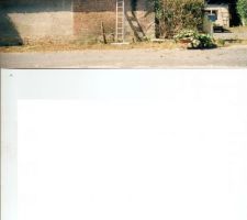 Facade est , apres taillage