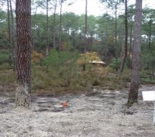 Le bord de rue a &eacute;t&eacute; partiellement remblay&eacute; pour couvrir les r&eacute;seaux