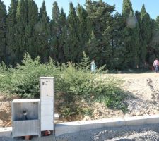 Premier rep&eacute;rage et les cypr&egrave;s sont encore l&agrave; mais plus pour longtemps