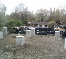 Bizarres ces champignons...