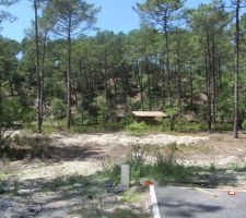 Les 2 pins du centre du terrain, ainsi que celui du coin gauche de l'entr&eacute;e ont &eacute;t&eacute; abattus.