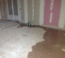 Mur de la salle a manger salon !