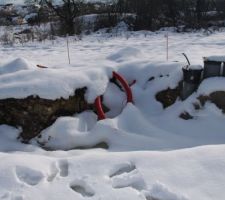 Aper&ccedil;u de la composition du sol