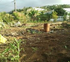 Terrain compl&egrave;tement &agrave; l'abandon!