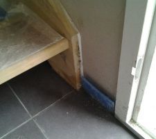 Des moisissures qui apparaissent!