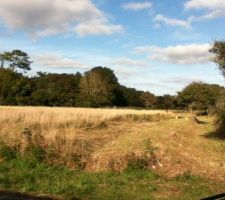 Notre terrain avant que la voierie soit faite