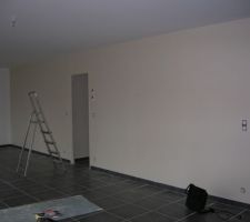 Peintures