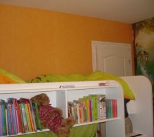 Chambre theme JUNGLE