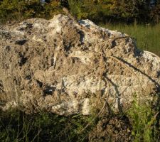 Ferraille qui repos&eacute; dans la boue voila le resultat