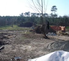 R&eacute;glage de la terre v&eacute;g&eacute;tale en limite sud