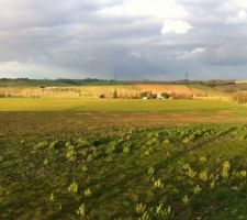 La parcelle des collines de latour 2