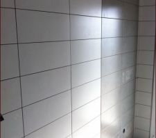 Fa&iuml;ence sdb rdc