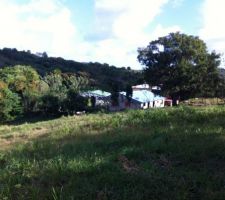 Terrain avant terrassement