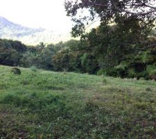 Terrain avant terrassement