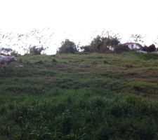 Terrain avant terrassement