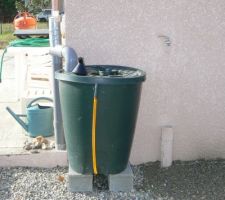 Récupérateur d'eau