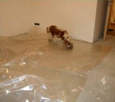 Pose du polyane dans la chbre du rdc