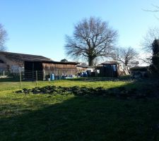 Terrain en cours de nettoyage...