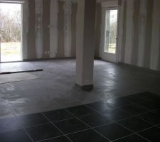 19 fevr : joints du carrelage