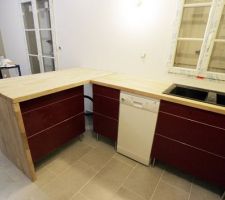 Mise en place et raccordement du Lave vaisselle ainsi que l'évier sous/dans le premier plan ... Restera à cogiter un fileur à 45° (?) dans le coin ...