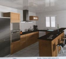 Notre future cuisine... Modèle "Optifit matrice 2012 - shaker chêne SHKC" de chez Hygena