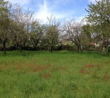 Notre terrain &agrave; l'&eacute;tat brut!